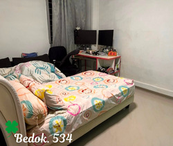 Blk 534 Bedok North Street 3 (Bedok), HDB Executive #526825171